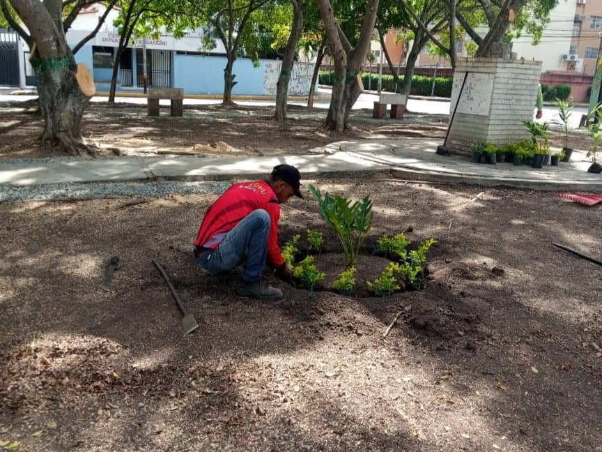 EMICA Empresa Municipal de Infraestructura y Conservación del Ambiente